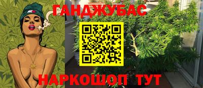 крисы Берёзовский