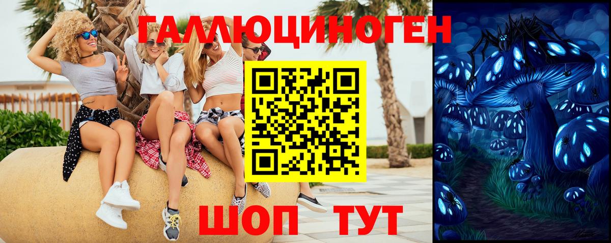 Псилоцибиновые грибы MAGIC MUSHROOMS  Псилоцибиновые грибы MAGIC MUSHROOMS  купить наркоту  Вход с VPN  Надым 
